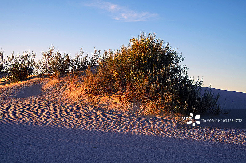 白色沙丘与涟漪前景和沙马鞭草在背景日落。图片素材