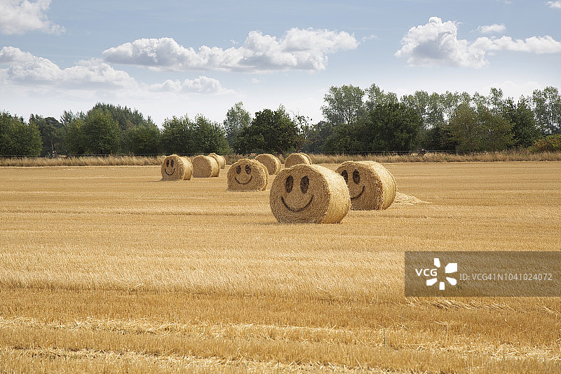 在夏天的时候，笑脸在田野的稻草捆上。图片素材