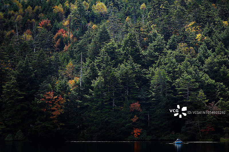 秋天的彩色森林和一条小船图片素材