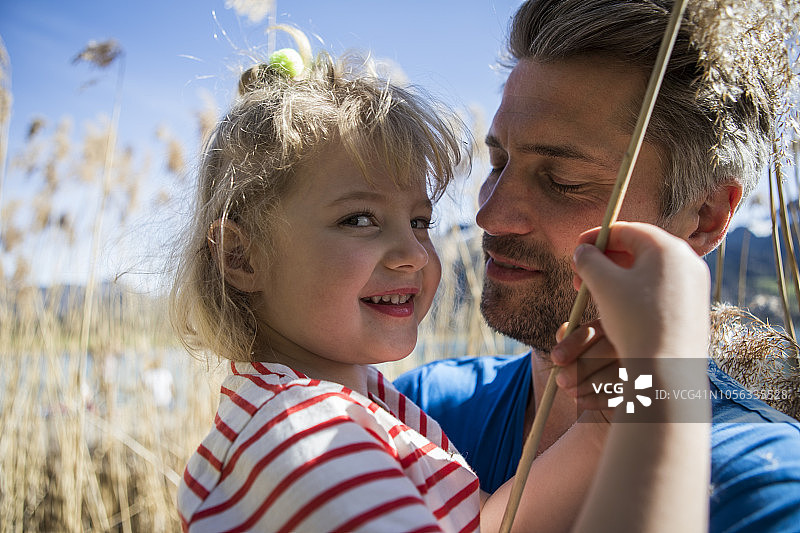 父亲抱着女儿的画像在湖边的芦苇里图片素材