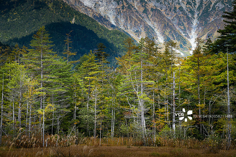 日本中部Sangaku国家公园景观，阿尔卑斯山上高内图片素材