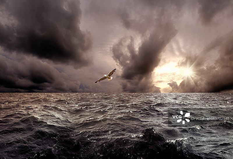 海鸥飞过大海和暴风雨的日落天空图片素材