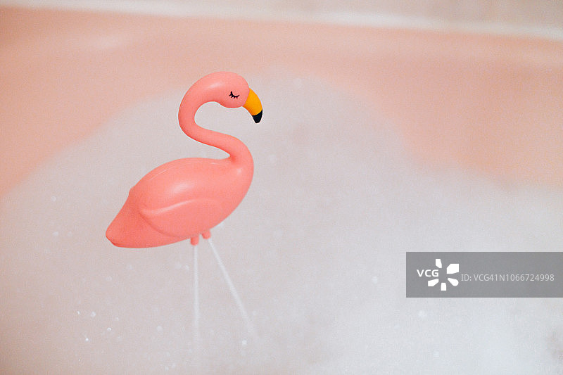 泡泡浴没有人，粉红色火烈鸟，泡泡，粉红色背景，浴，塑料火烈鸟图片素材
