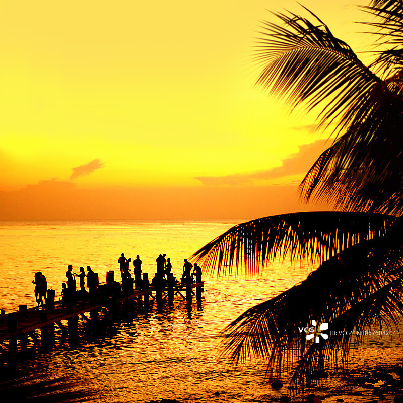 在橙色的夕阳下，人们在海滩上的棕榈树上跳舞玩乐的剪影图片素材