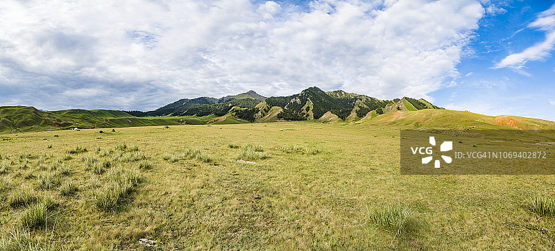 草地景观与草甸和山脉，新疆，中国图片素材