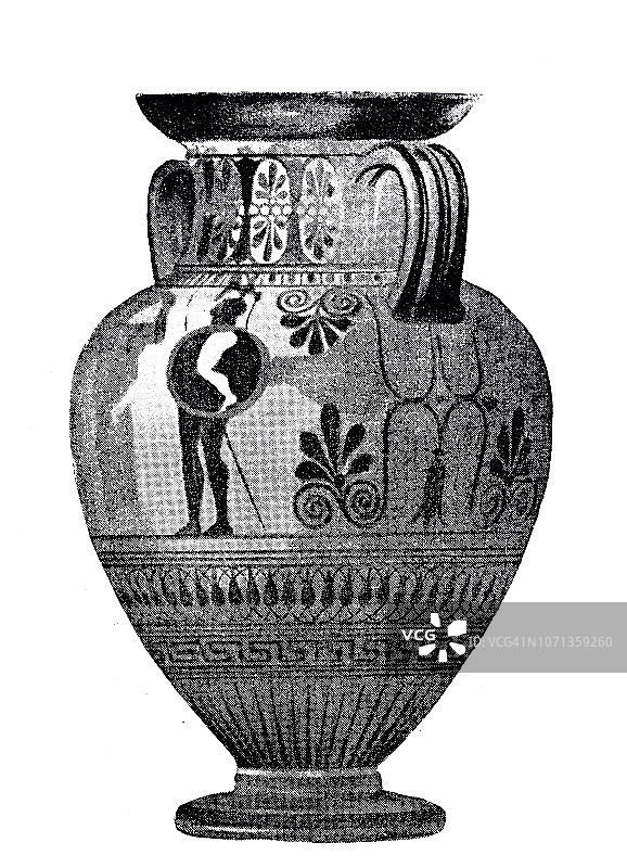 古典希腊陶罐与花卉设计图片素材