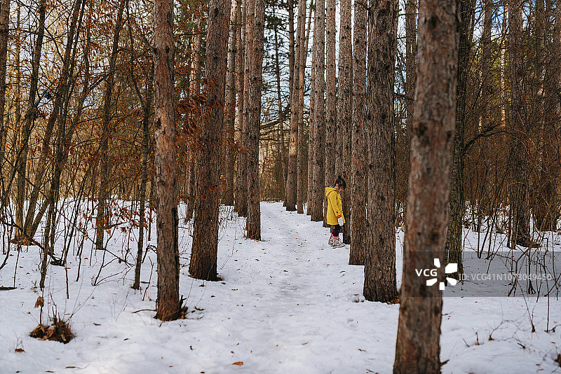 女孩走在树林里，美国图片素材