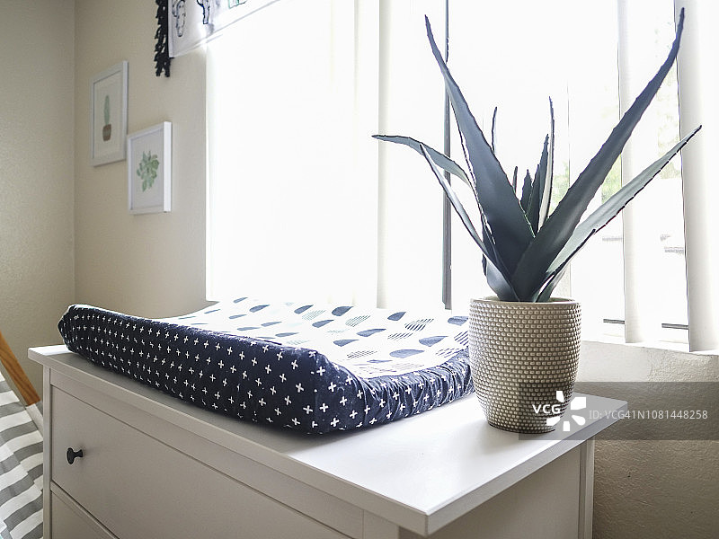 床垫的特写和室内植物在桌子上的窗户在家里图片素材