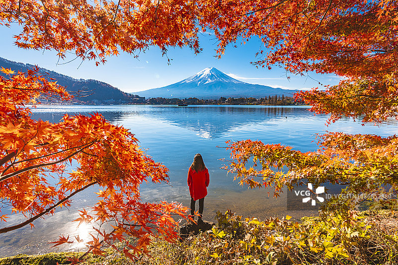 秋天，游客欣赏富士山，日本图片素材