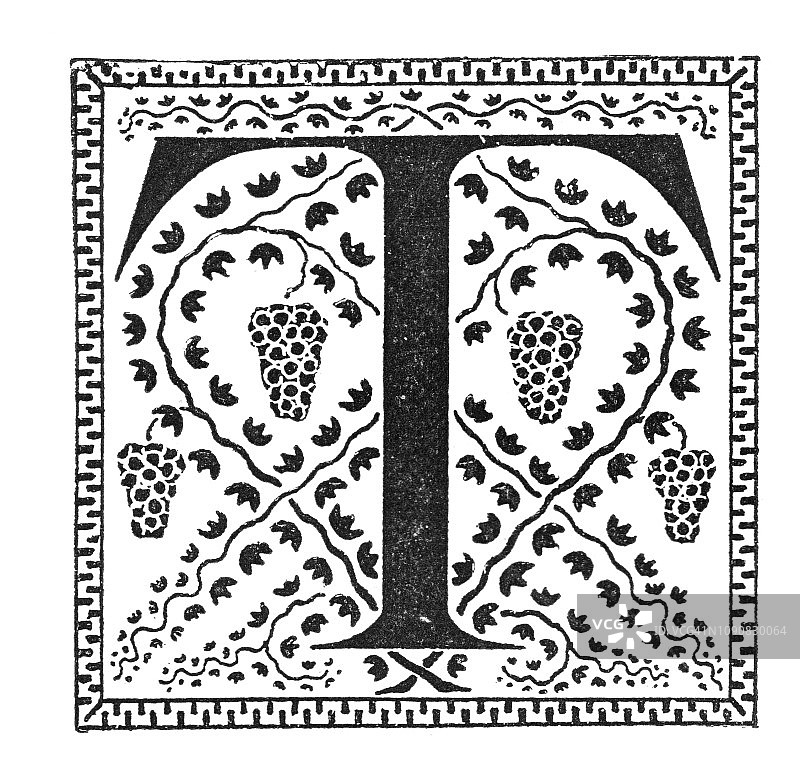 维多利亚时代的黑白版画，首字母T描绘有边框的风格葡萄藤;1892年英语了图片素材