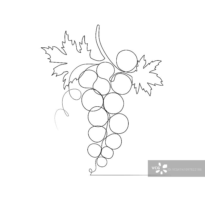 一条线画葡萄素描孤立在白色的背景。图片素材