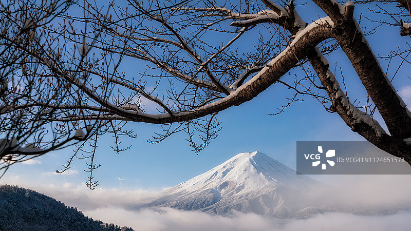 日本川口湖富士山和积雪树的冬天早晨图片素材