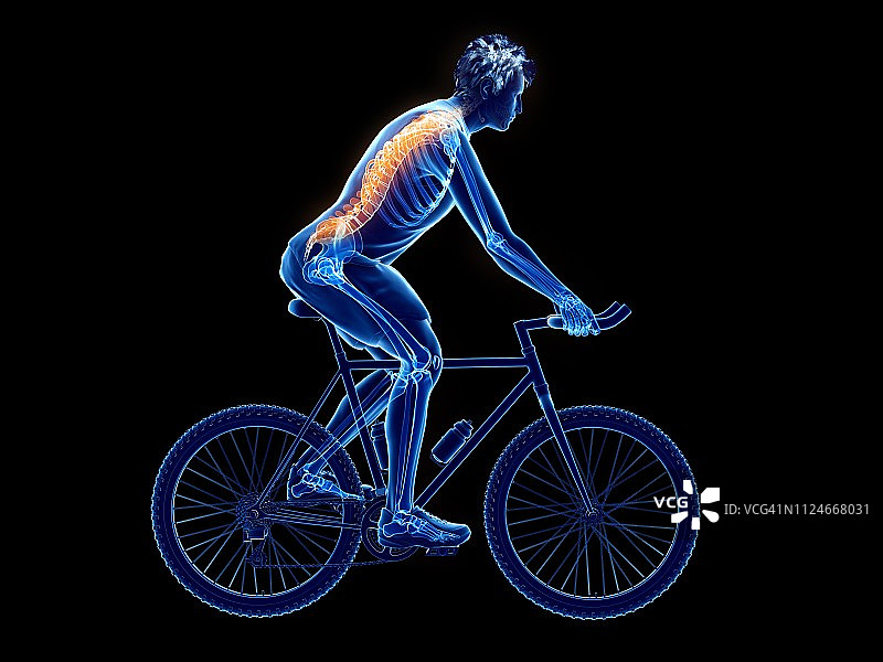 一个骑自行车的人的脊椎的插图图片素材