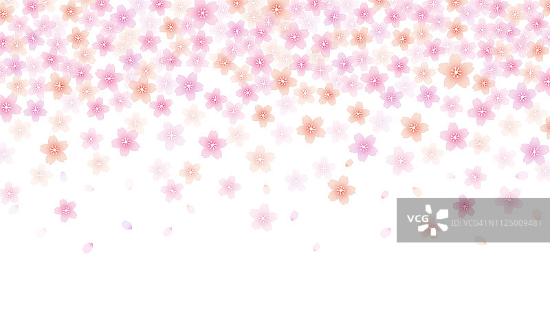 樱花背景材料图片素材