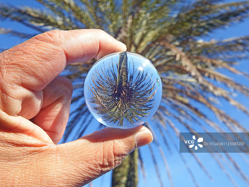 透过玻璃球大自然图片素材