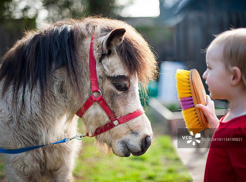 年轻的金发女孩(3岁)正在梳理小马的头发。图片素材