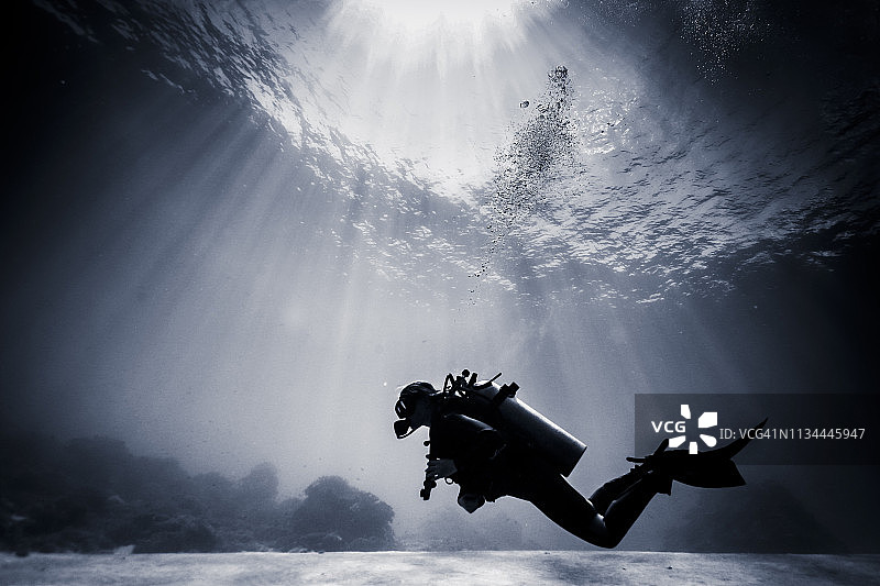 轮廓水肺潜水员游泳附近的珊瑚礁，龙目岛，印度尼西亚图片素材