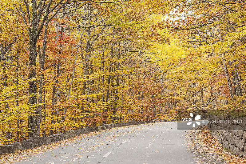 美国缅因州，荒岛山，阿卡迪亚国家公园，秋天，公园路图片素材