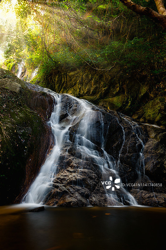 美丽的瀑布在绿色雨林图片素材