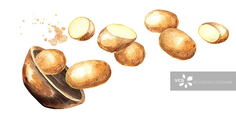 一碗生土豆。手绘水平水彩插图，孤立在白色的背景图片素材