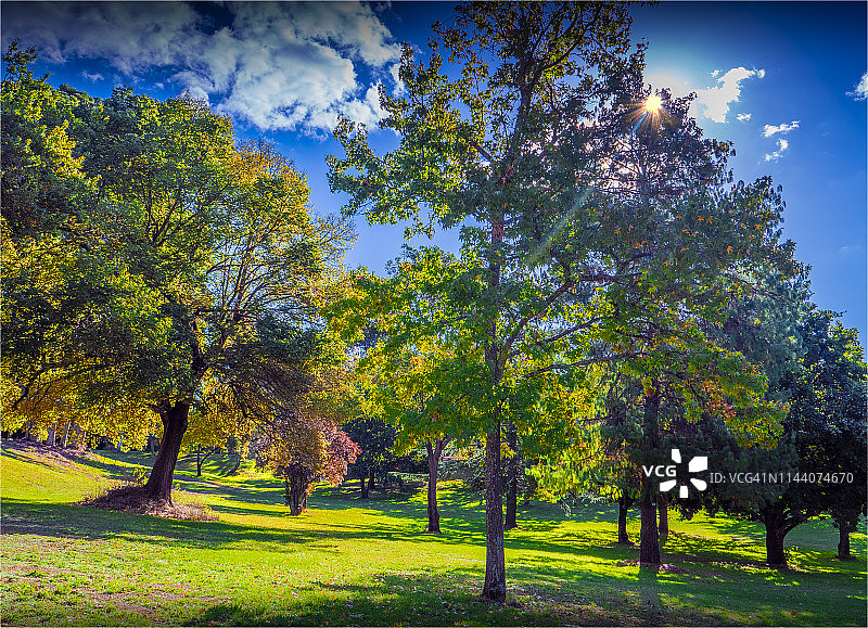 五月天山花园，秋季色调的树木，比奇沃思，澳大利亚维多利亚州中部。图片素材
