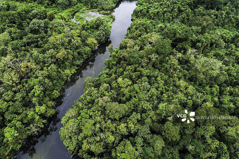 热带雨林的鸟瞰图图片素材