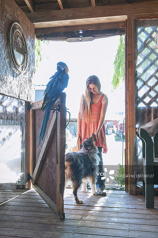 十几岁的女孩与鹦鹉和狗靠在农舍的门上图片素材