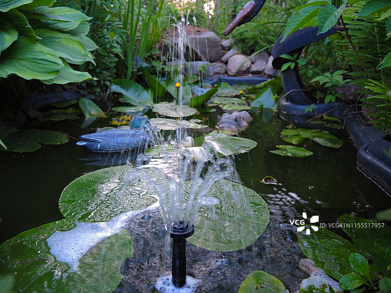 喷泉在一个美丽的池塘图片素材