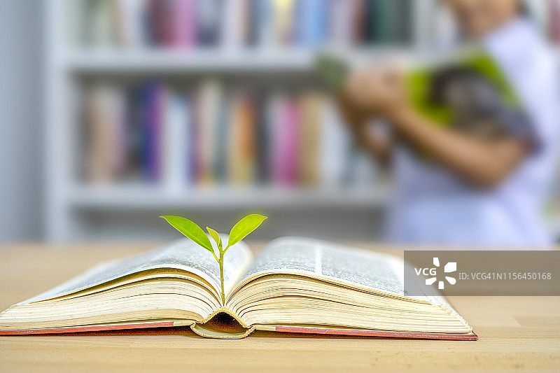 世界哲学日教育理念与知识树种植在图书馆打开旧大书与教科书，成堆的文本档案和过道的书架在学校自习室图片素材