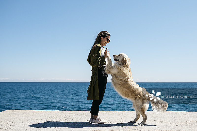 一个笑着的女人在码头上和她的拉布拉多寻回犬玩耍图片素材