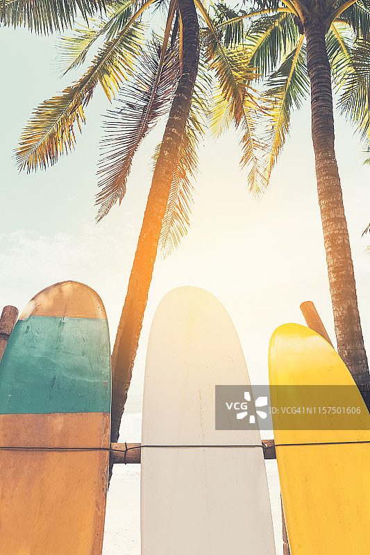 冲浪板和沙滩上的棕榈树。旅游冒险运动和暑假概念。复古色调过滤效果色彩风格。图片素材