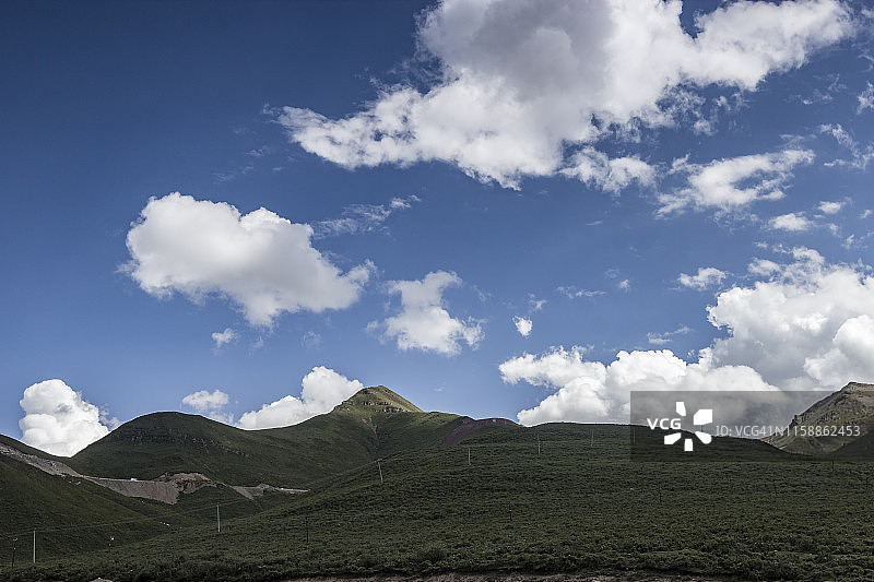 蓝天白云下的青藏高原草原风光图片素材