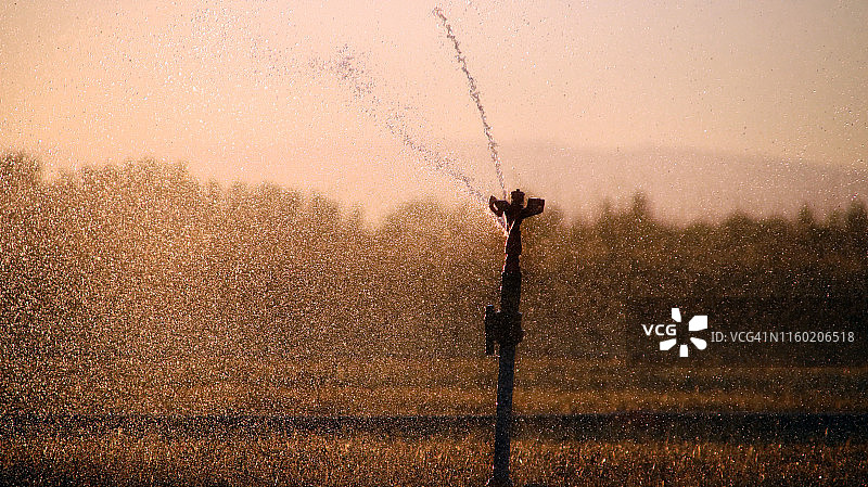 采购产品灌溉设备，农业水洒水器灌溉农场植物作物田图片素材