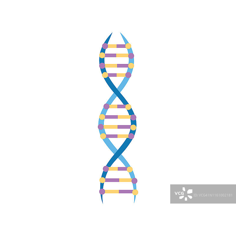 教育图标结构的DNA分子载体分离的背景。图片素材