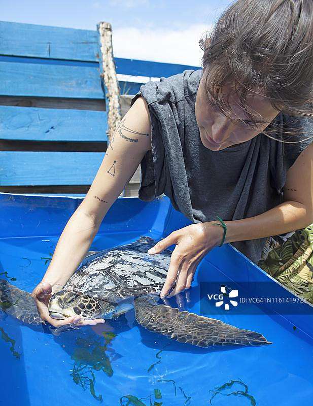乌拉圭罗查省，Karumbe Centro Tortugas Marinas, 26岁妇女，抱着一只生病的绿海龟(Chelonia mydas)的头图片素材