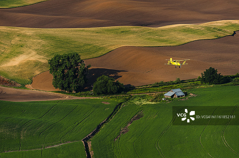 黄色双翼机作物喷粉机在农田上空飞行。图片素材