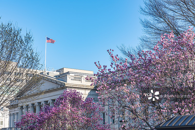美国华盛顿特区，国家樱花节期间的财政部大楼图片素材