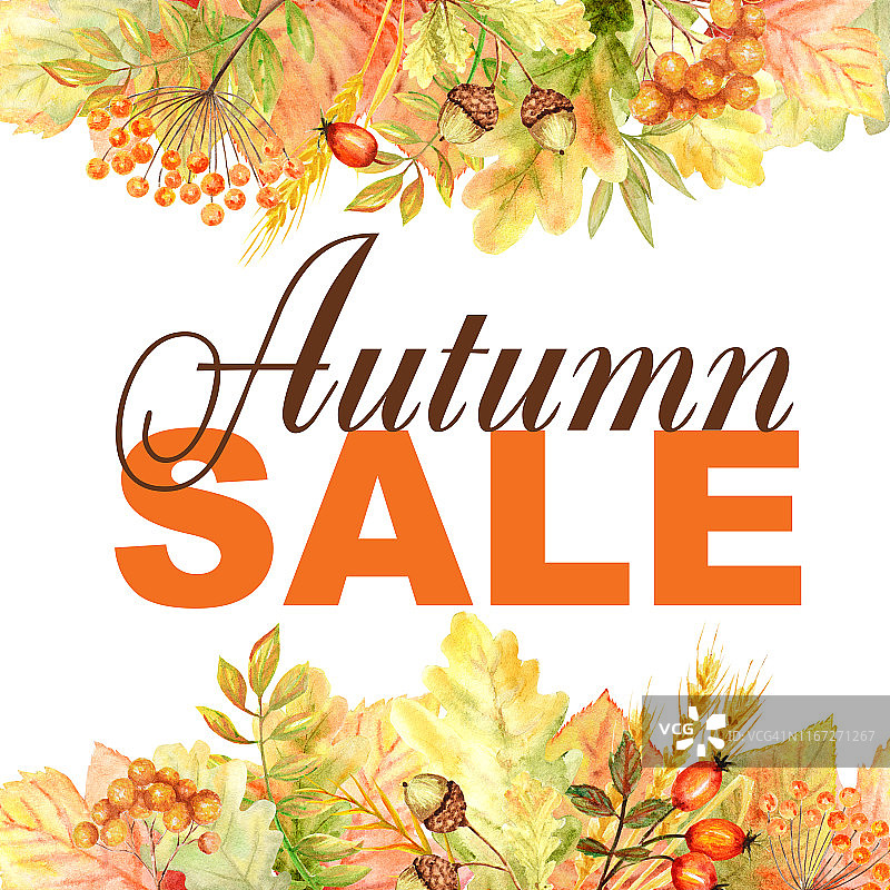秋季销售文字框架孤立在一个白色的背景。水彩秋叶手绘插画海报设计图片素材