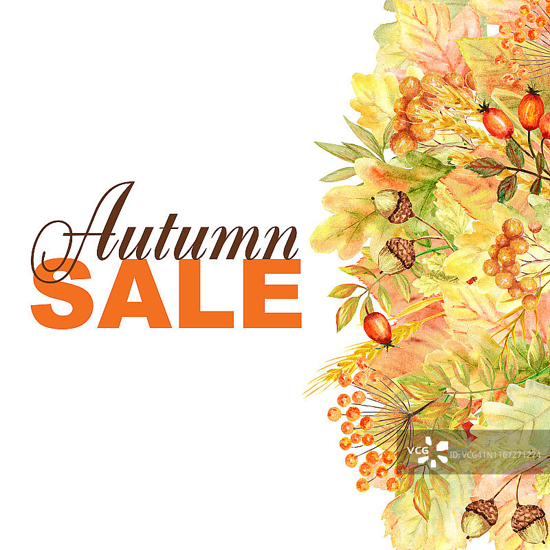 秋季销售文字框架孤立在一个白色的背景。水彩秋叶手绘插画海报设计图片素材