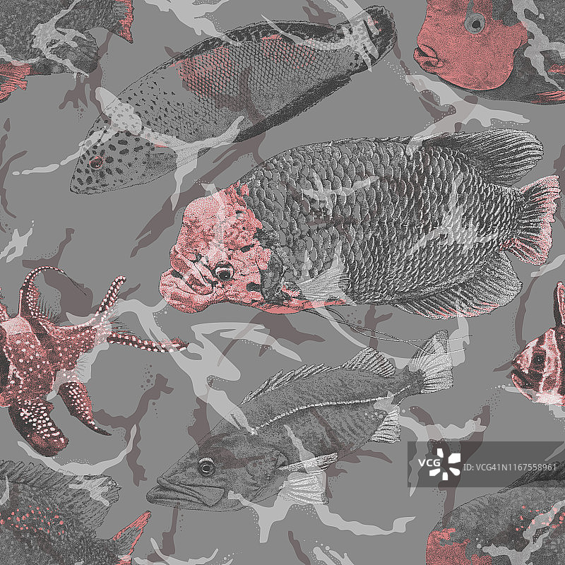 中国淡水鱼无缝重复色调图片素材