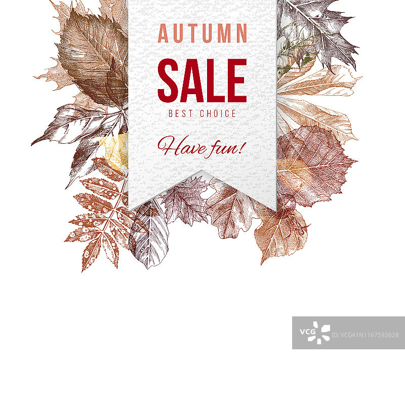 秋季销售标签的背景与手绘的秋天树叶图片素材