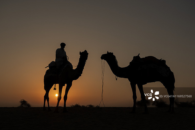 沙漠骆驼商人的剪影与骆驼走过塔尔沙漠在戏剧性的日出。图片素材