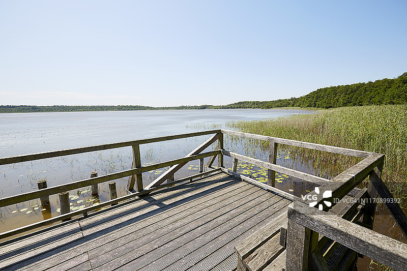 有木栏杆的码头在田园诗般的湖芦苇草对清澈的蓝天，观察点图片素材