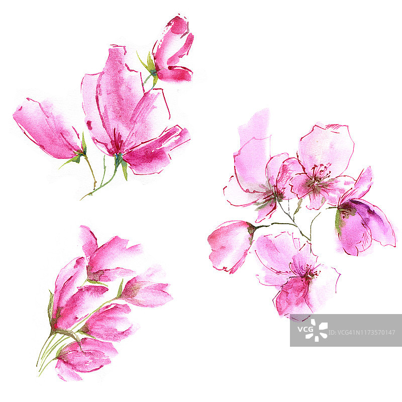 用于卡片装饰的花卉套装。水彩粉红色花。花卉装饰。婚礼邀请花装饰。图片素材