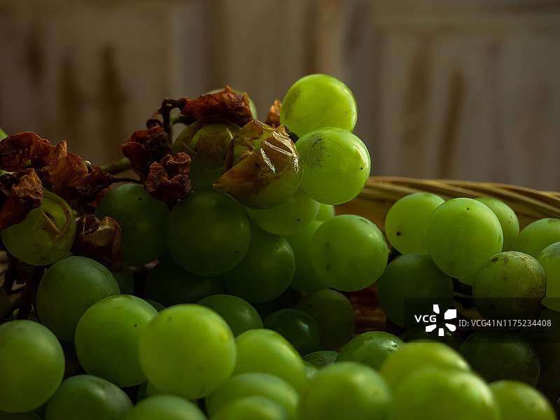 秋天的果实:柳条篮子里挂着一串串白葡萄的静物图片素材