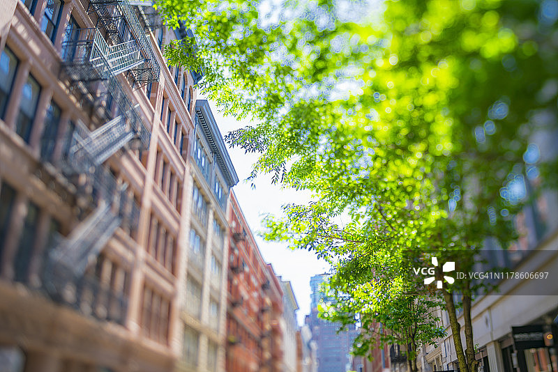 2019年5月18日，在美国纽约SOHO区，一排排Loft公寓楼矗立在生长着新鲜绿叶的树木旁。图片素材