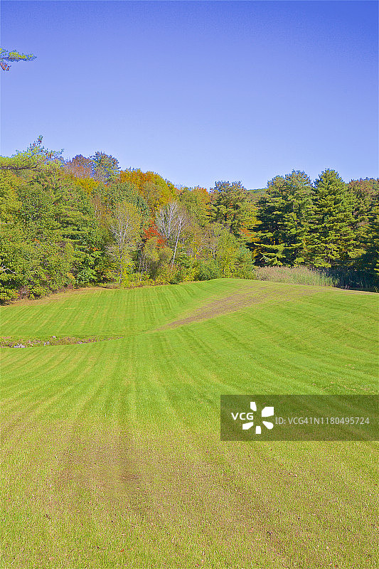 秋天，马萨诸塞州新马尔伯勒附近新修剪的草坪图片素材