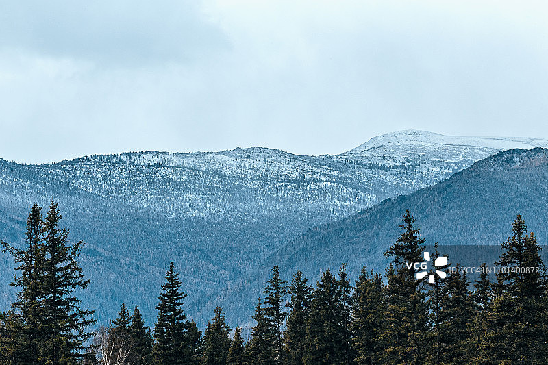 云杉林与雪覆盖的山谷在多云的天气在秋季阿尔泰，西伯利亚，俄罗斯图片素材