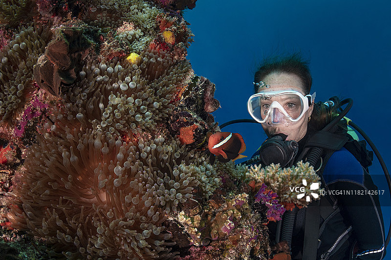番茄小丑鱼和女潜水员-帕劳，密克罗尼西亚图片素材