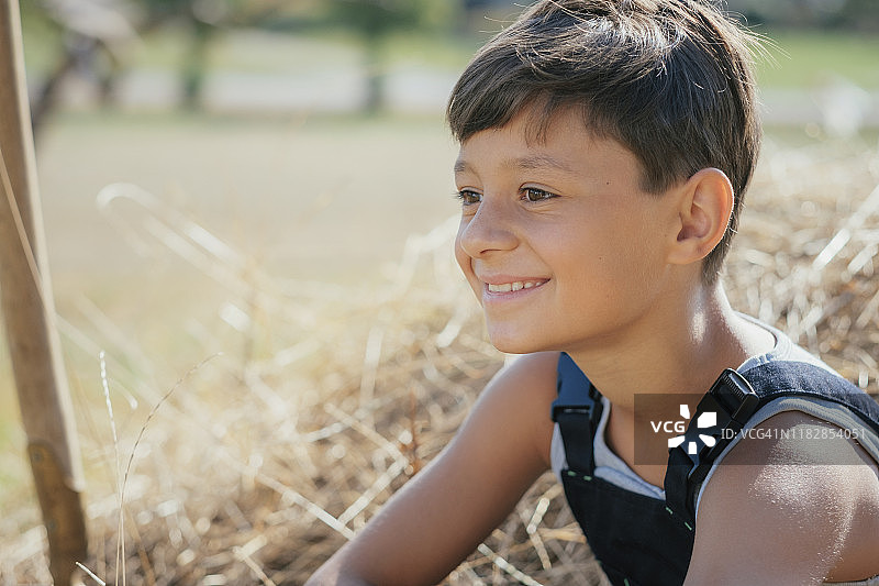 微笑的男孩坐在干草中图片素材